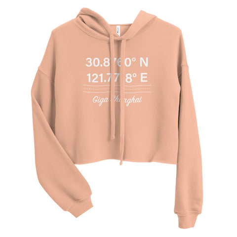 Tesla inspired apparel. Shanghai Gigafactory GPS coordinates. Birthplace Shanghai image centered on cropped hoodie.