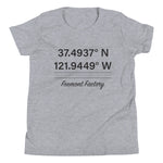 Tesla inspired apparel. Fremont Gigafactory GPS coordinates. Birthplace Fremont image centered on youth t-shirt.