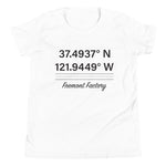 Tesla inspired apparel. Fremont Gigafactory GPS coordinates. Birthplace Fremont image centered on youth t-shirt.